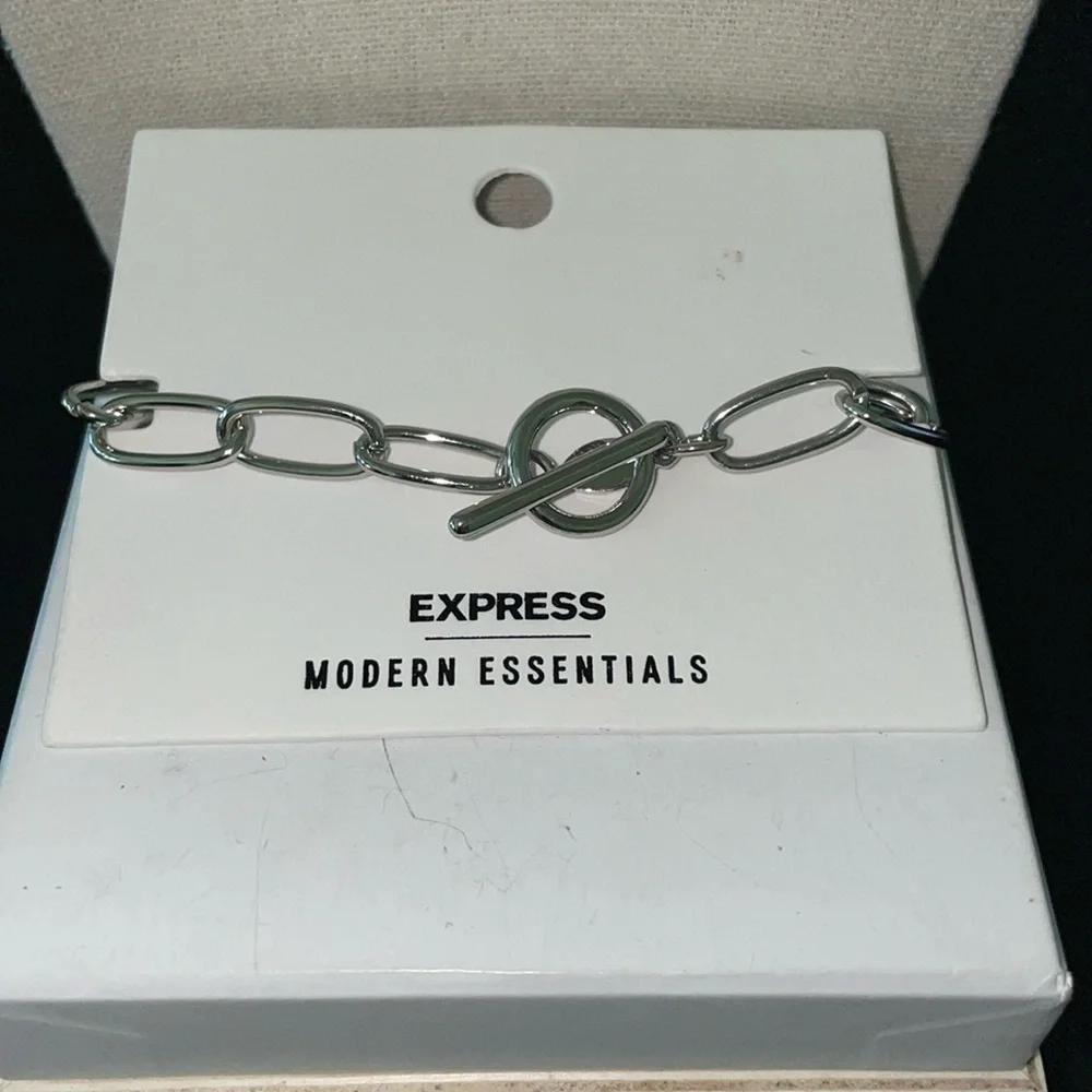EXPRESS Silvertone Link, toggle clasp bracelet